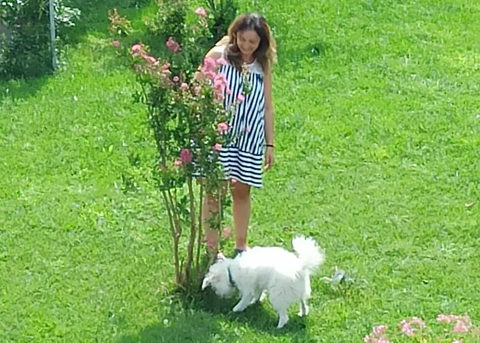 Assisi Sweet View Апартаменты Бастия-Умбра