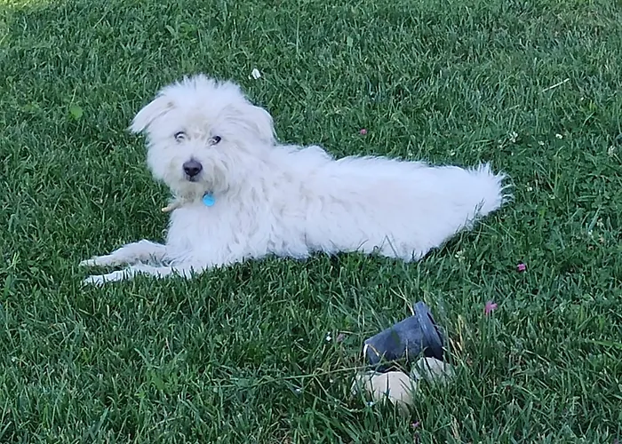 Апартаменты Assisi Sweet View *